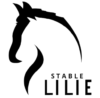 liliestablehurghada.com