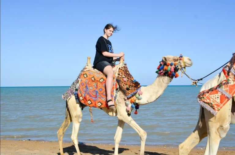 Kamelreiten in Hurghada am Strand und in der Wüste bei Sonnenuntergang