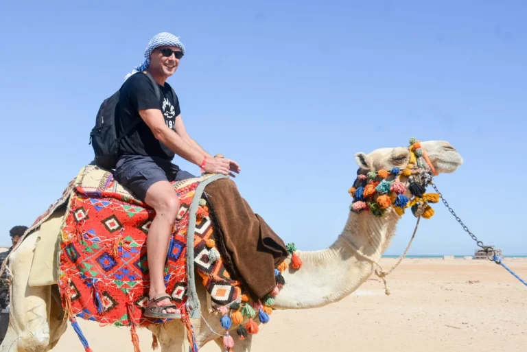 tourist enjoy camel riding in hurghada
