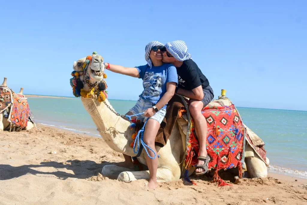 couple kissing beach camel riding hurghada