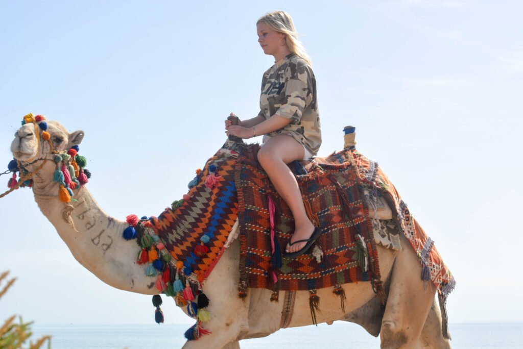 Kamel Wüstensafari Hurghada mit traditionellem Kamelritt und Beduinen Aussicht