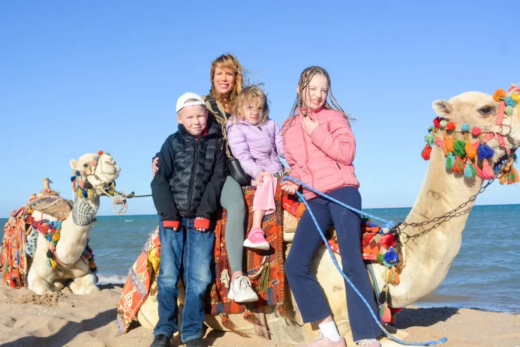desert and beach camel riding hurghada