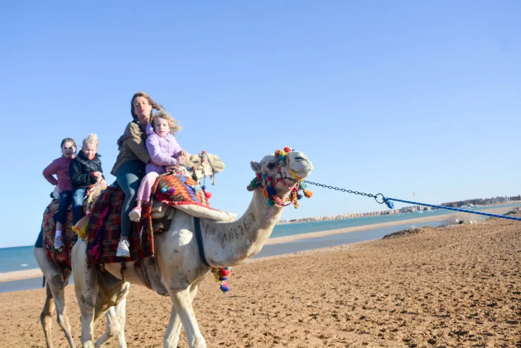 Kamelreiten Wüste und Strand Hurghada am Roten Meer