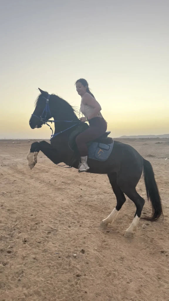 private horse riding hurghada girl jumping