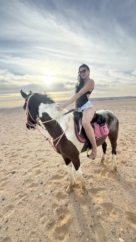 Privates Reiten in Hurghada am Strand mit Pferd bei Sonnenuntergang