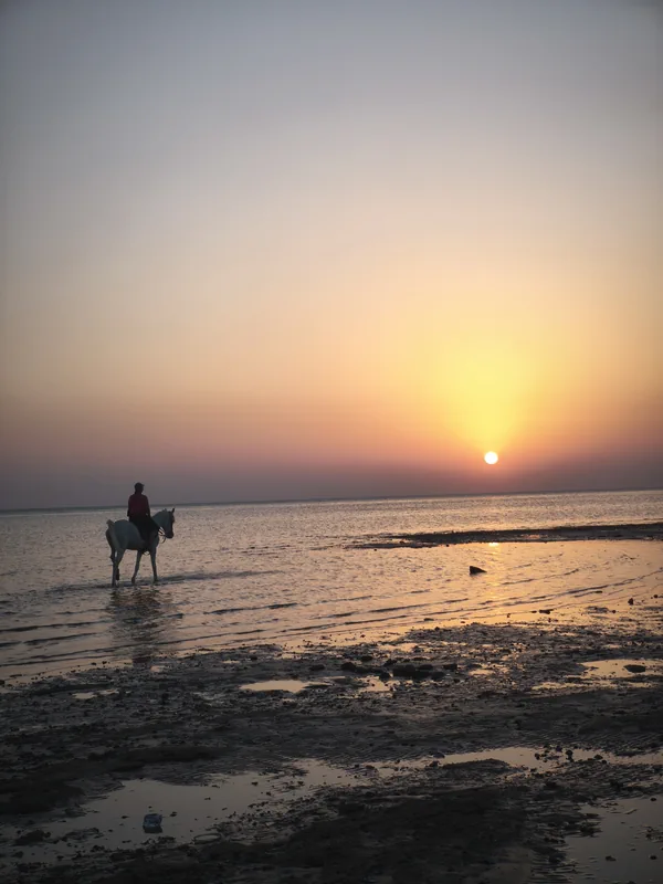 sunrise horse riding hurghada amazing view