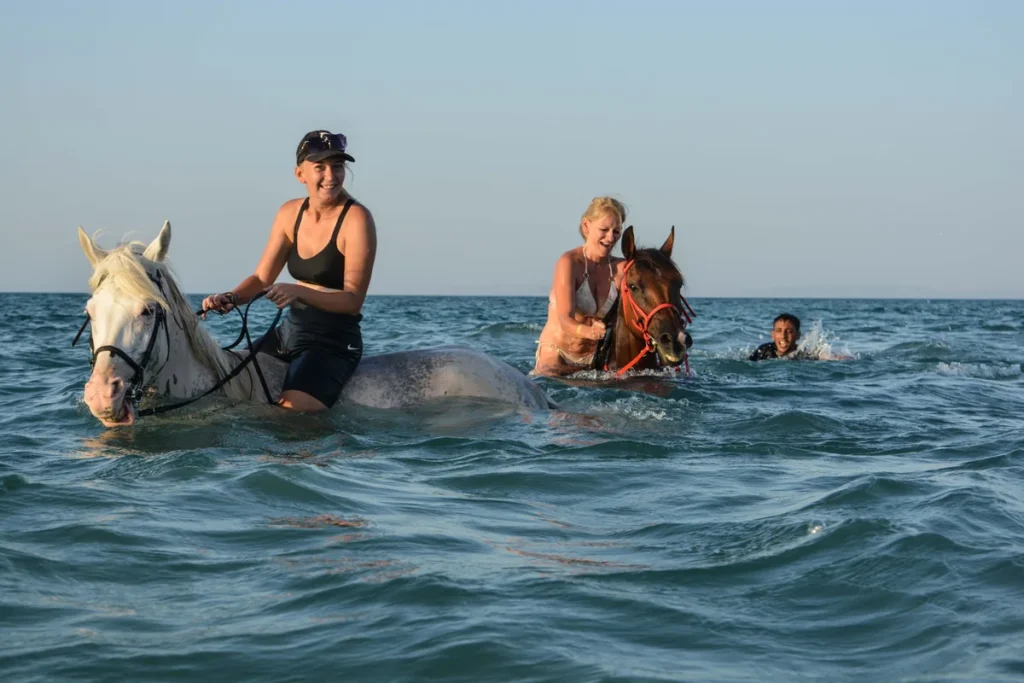 couple swimming with horses hurghada